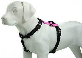 Fully Adjustable Dog Harness