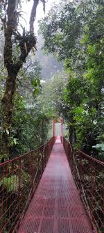 Monteverde Exploring The Cloud Forest