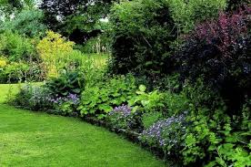 Shade Garden Ideas