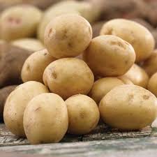 Yukon Gold Seed Potatoes For Planting