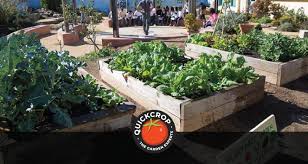 What To Grow In A School Vegetable Garden