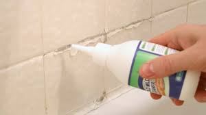 Black Mold In The Shower How To Clean