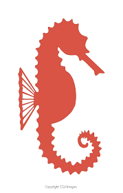 Sea Horse Icon C847147 Csa Images