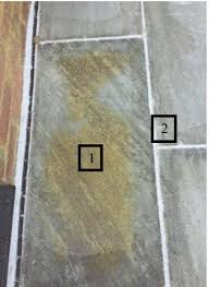 The Correct Way To Remove Cement Stains