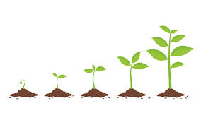 Plant Growth Icon Images Browse 653