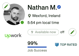 Wordpress Developer Ireland Irish