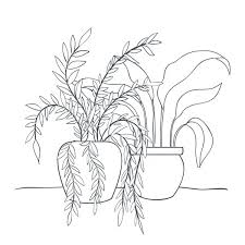 Line Drawing Home Plants Vector Images