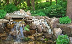 Perfect Oasis For Your Backyard