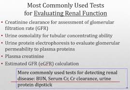 Day 1 Renal Function Chapter 5
