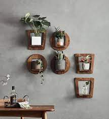 Beautify Your Walls With Plants