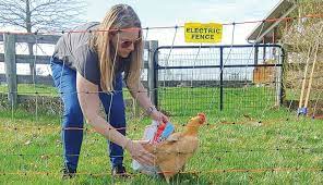 Electric Fencing Can Protect Contain