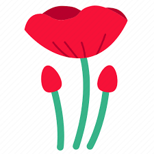 Flower Opium Poppy Red Wildflower