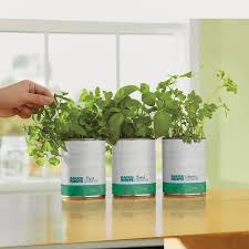 Herb Garden