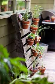 Diy Vertical Gardens Are They All Safe
