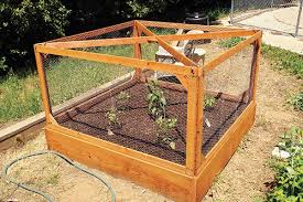 Finishing Options For Garden Beds