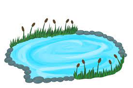 Pond Png Transpa Images Free