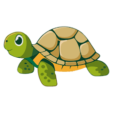 Cartoon Turtle Clipart Images Free