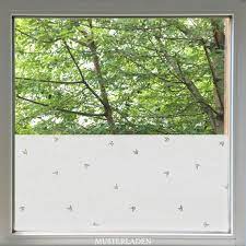 Window Modern Glass Design