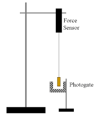 Pyl 105 Centripetal Acceleration