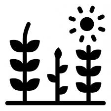 Trees And Sun Denoting Glyph Icon Of