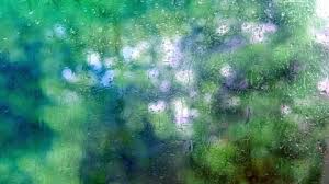 Summer Rain Outside Window Green