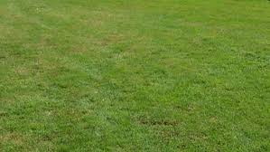 Sustainable Gardening Australia