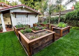 Best Home Gardening Tips For Beginners