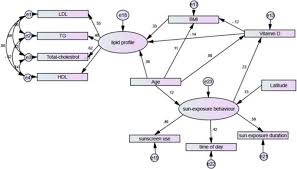 Structural Equation Model