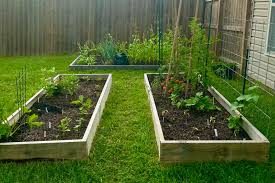 Raised Beds For Vegetable Gardening