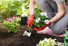 Planting A Spring Garden Tips For