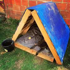 Diy Pallet Dog House Plans And Ideas