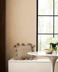 Quinoa Sw 9102 Orange Paint Colors