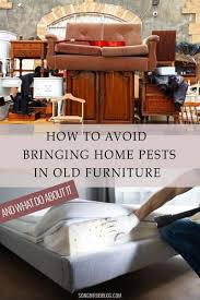 How To Avoid Pests In Old Furniture