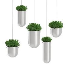 Plants In Metal Hanging Pots 3d Model