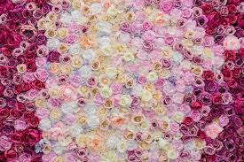 Flower Wall Images Free On