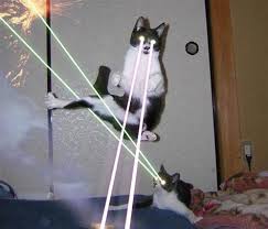 laser cat memes