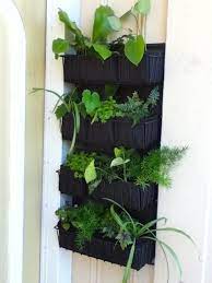 Vertical Garden Diy Style How To