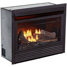 Duluth Forge Dual Fuel Ventless