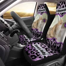 Glitter Custom Pet Car Seat Covers