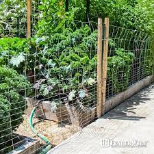 Fencer Wire 2 Ft X 50 Ft 16 Gauge Galvanized Rabbit Guard Garden Fence Welded Wire Fence For Preventing Rabbits Small Animals