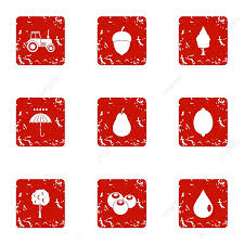 Orchard Clipart Hd Png Vegetable