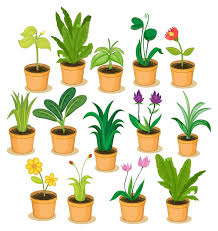 Page 11 Icon Plant Images Free
