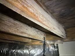 Crawl Space Fungus Treatment Effective