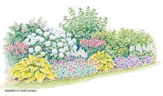 35 Dry Shade Garden Ideas Shade