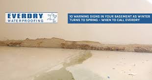 10 Warning Signs In Your Basement As