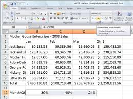 Percent Style In Excel 2007