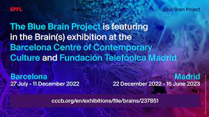 blue brain project news and press