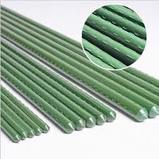 Plastic Coated Steel Garden Stake