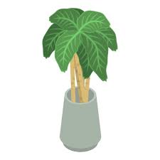Big Leaf Pot Plant Icon Isometric