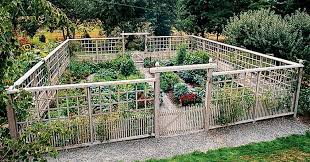 Advice About Deer Fences Humane